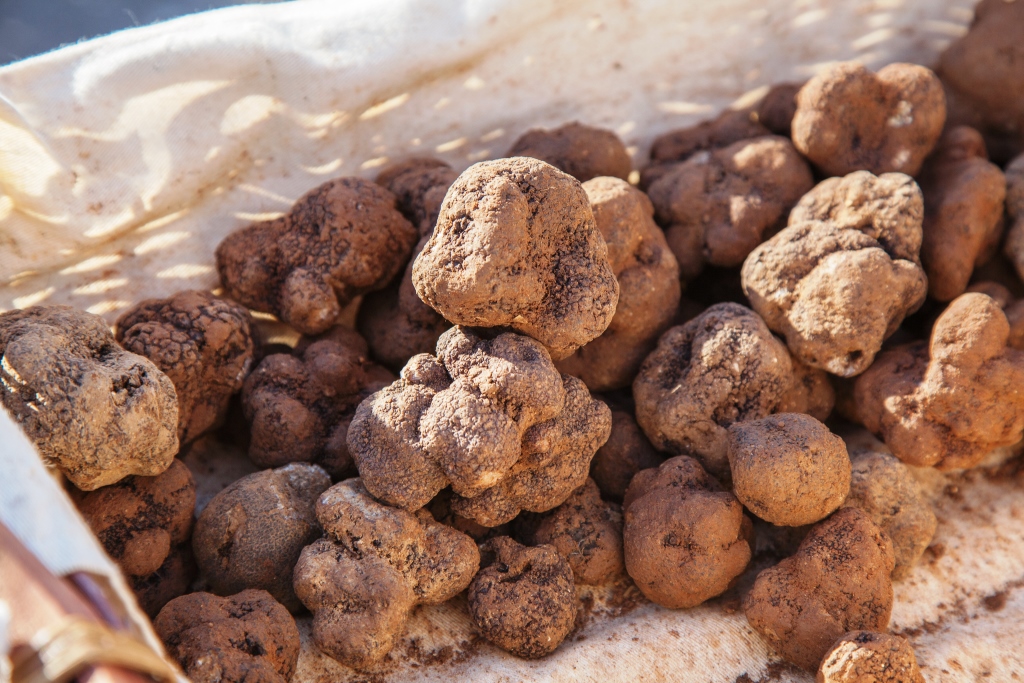 Truffes sur le marché d'Aups-Pierre Marilly- licence CC