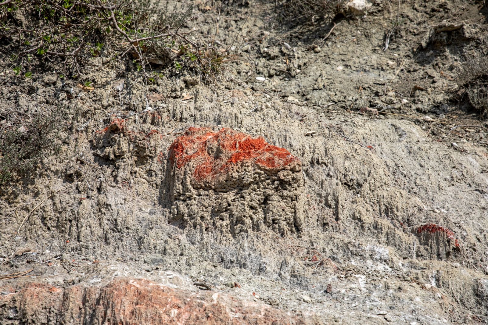 Gypse rouge 